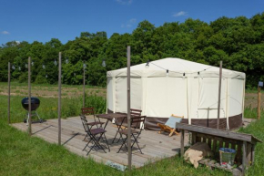 Starry Skies Yurt - Vega